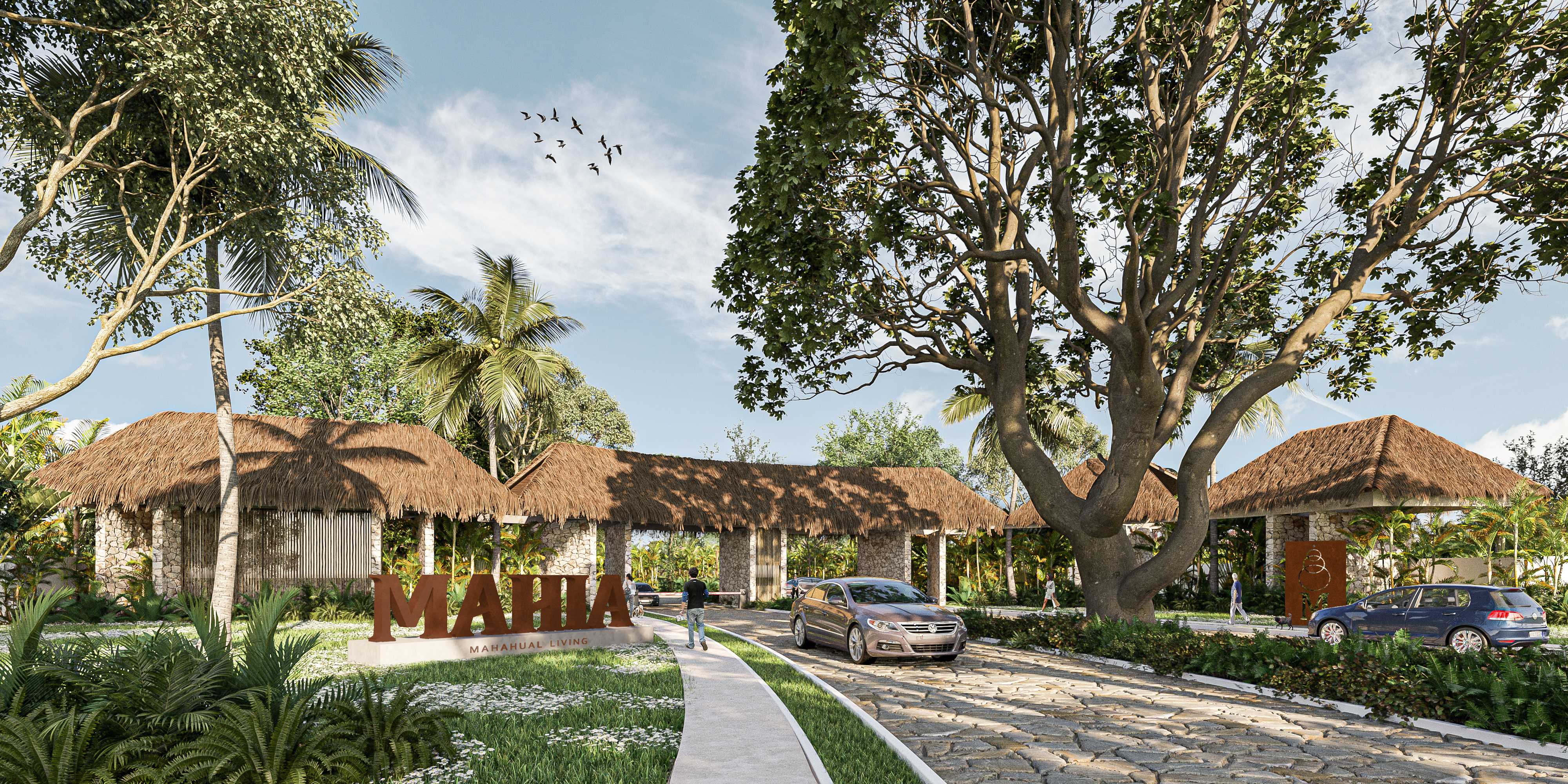 Acceso Mahahual 